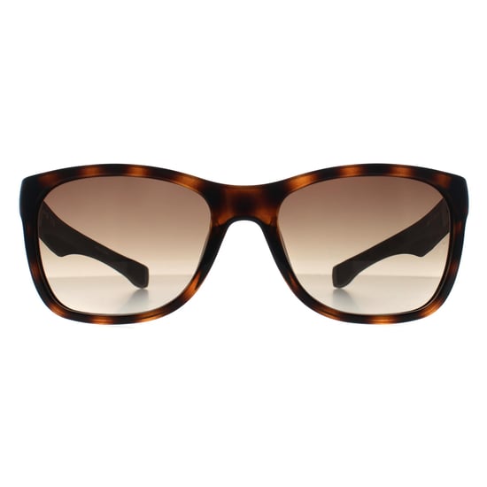 Lacoste Rectangle Mens Havana Brown Gradient L662S - Image 1
