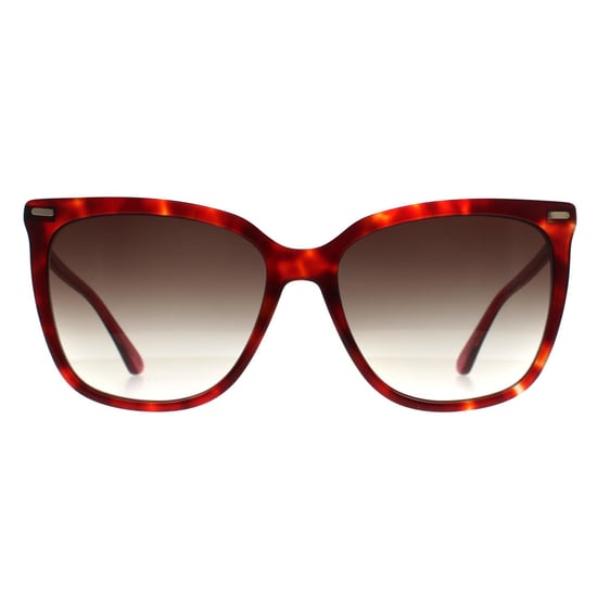 Calvin Klein Butterfly Womens Borgoña Habana Marrón Gradiente CK22532S - Image 1