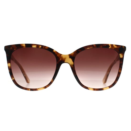 Calvin Klein Cat Eye Womens Tortuga Oscuro Marrón Oscuro Gradiente CK23500S - Image 1