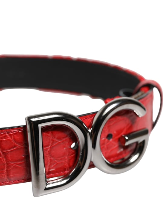 Cinturón de viscosa roja con hebilla de metal DG logo plateado de Dolce & Gabbana - Image 4