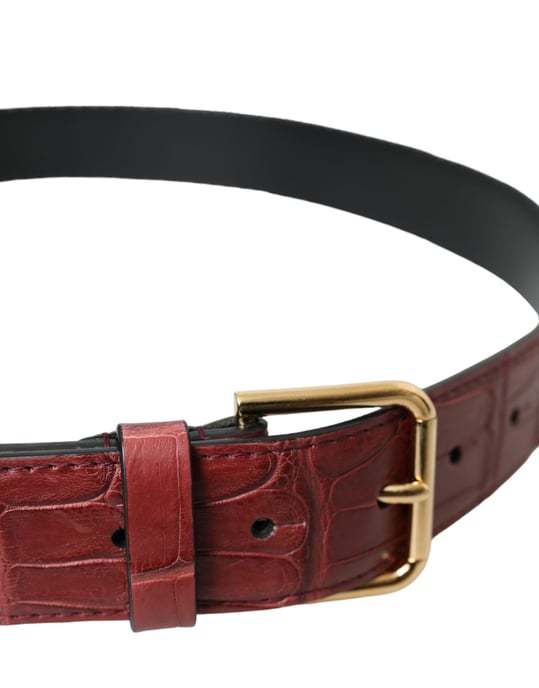 Cinturón de piel de cocodrilo marrón con hebilla de metal tachonada de Dolce & Gabbana - Image 3