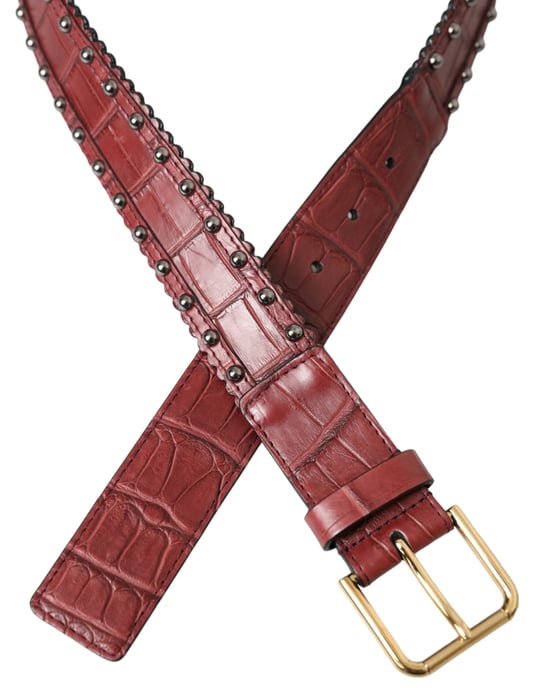 Cinturón de piel de cocodrilo marrón con hebilla de metal tachonada de Dolce & Gabbana - Image 4