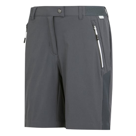 Regatta Womens/Ladies Mountain II Shorts (Seal Grey) - Image 3