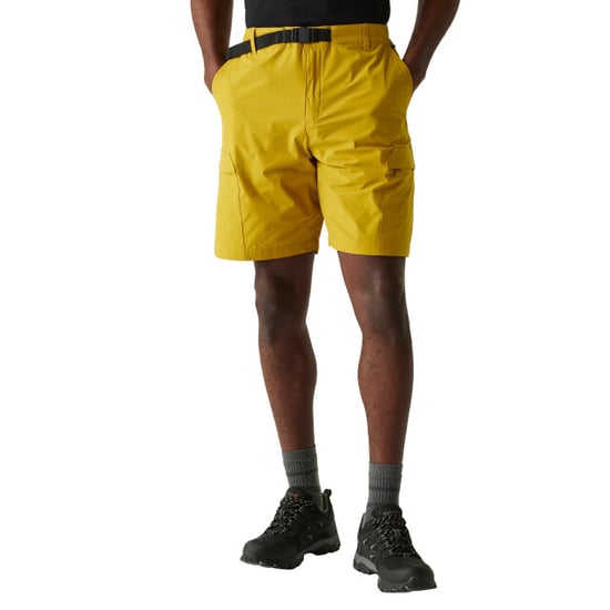 Regatta Mens Mallen Shorts (Mustard) - Image 4