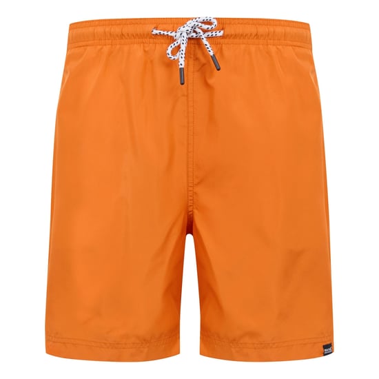 Regatta Mens Mackleyna Swim Shorts (Fox) - Image 1