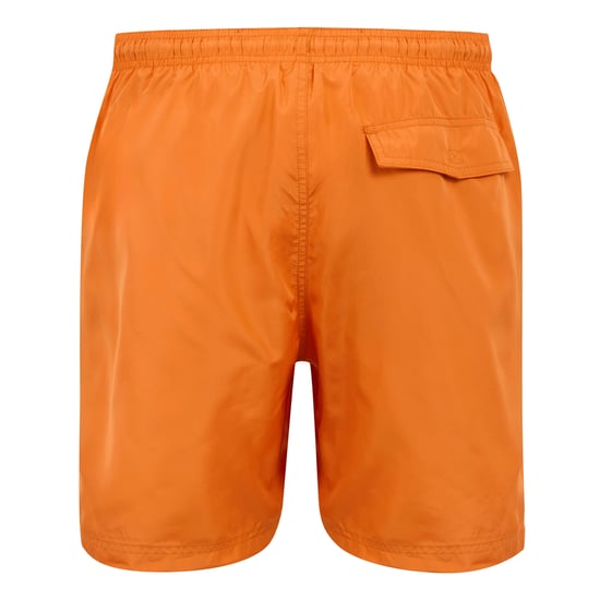 Regatta Mens Mackleyna Swim Shorts (Fox) - Image 2