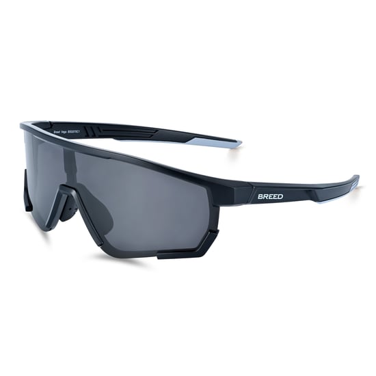 Gafas de sol polarizadas Breed Vega - Negro/Negro - Image 1