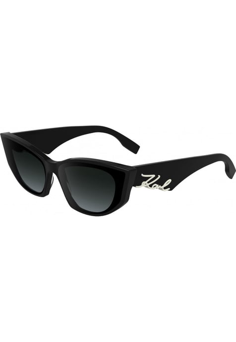 Gafas de sol Karl Lagerfeld KL6162S 64 001 - Image 1