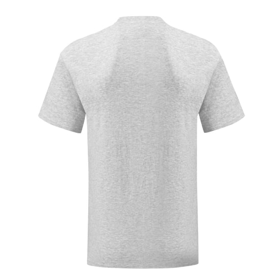 Fruit of the Loom Unisex Adult Iconic Heather T-Shirt (Dark Heather Grey) - Image 2