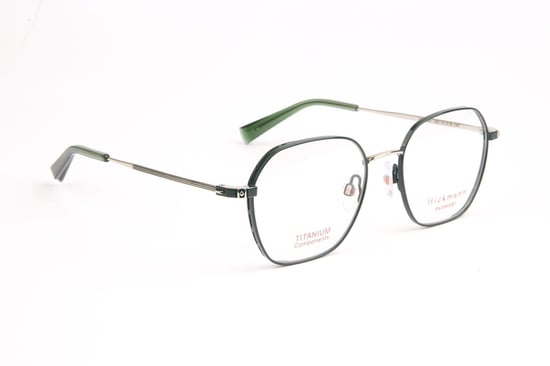 Ana Hickmann Optical Frame HI1218T 12A 51 Titanium - Image 1