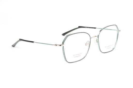 Ana Hickmann Optical Frame HI1246T 06A 54 Titanium - Image 1