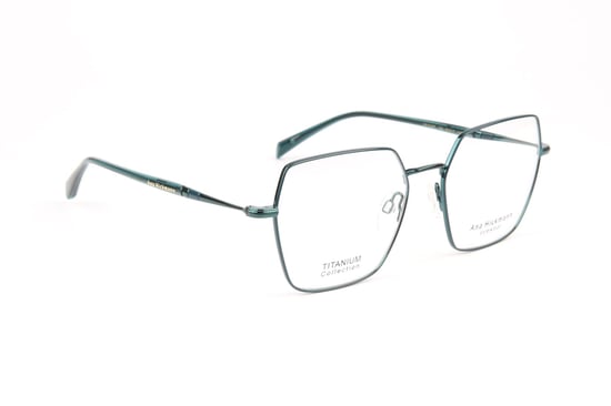 Ana Hickmann Optical Frame AH1548T 12A 54 Titanium - Image 1