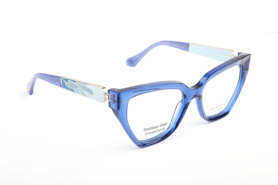 Ana Hickmann Optical Frame AH6597 T01 52 - Image 1