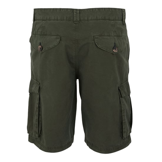 Regatta Mens Shorebay II Cargo Shorts (Dark Khaki) - Image 2