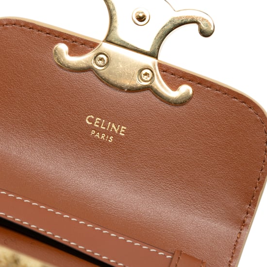 Mini bolso cruzado Claude de piel de ternera con estampado de leopardo de segunda mano - Image 5