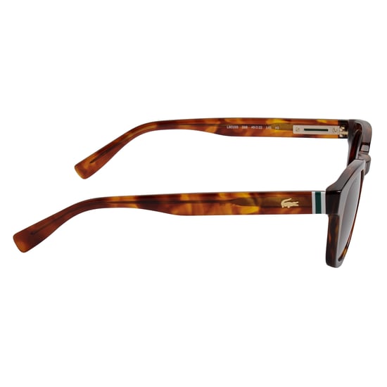 Gafas de sol de acetato para hombres con forma ovalada L6015S - Image 2