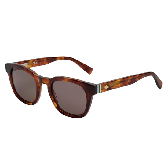 Gafas de sol de acetato para hombres con forma ovalada L6015S - Image 5