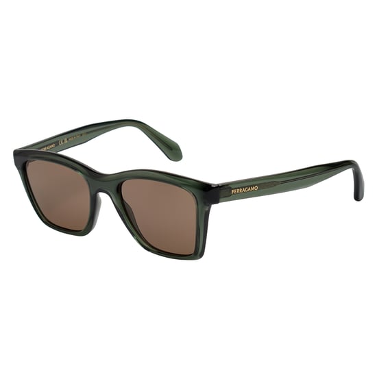 Gafas de sol de acetate rectangulares para hombre SF2001S - Image 5
