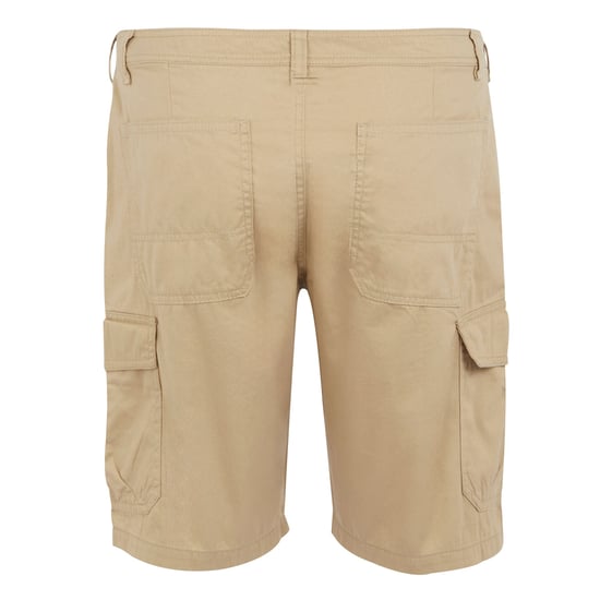 Regatta Mens Ruwan Casual Shorts (Oat) - Image 2
