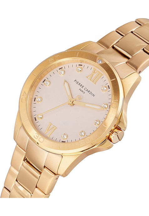 Reloj de Dama Pierre Cardin CF-1009-MG - Image 2