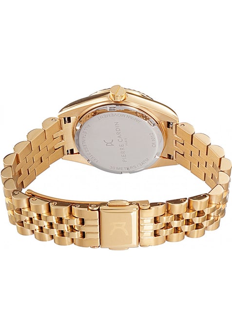 Reloj de Dama Pierre Cardin CF-1012-MG-1 - Image 3