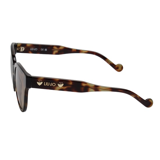 Gafas de sol de acetato redondas de ojo de gato para mujer LJ772S - Image 2