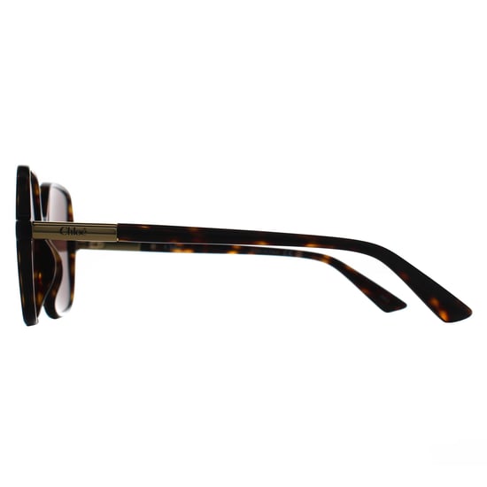 Chloe Square Womens Marrón habana oscuro CH0362S - Image 3