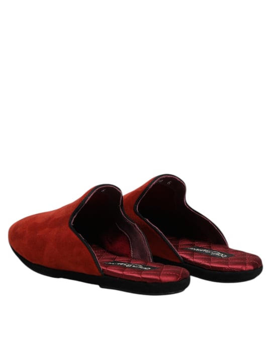 Zapatos Planos de Suede Naranja Dolce & Gabbana - Image 5