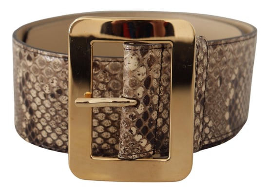 Cinturón de cuero marrón exótico de ancho con hebilla de metal dorado de Dolce & Gabbana - Image 1