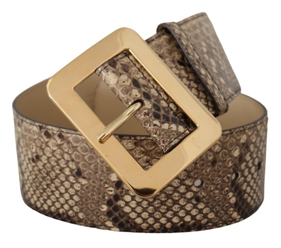 Cinturón de cuero marrón exótico de ancho con hebilla de metal dorado de Dolce & Gabbana - Image 2