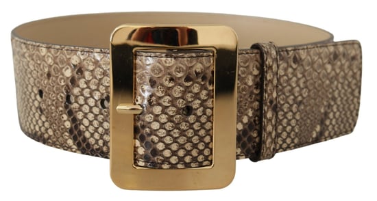 Cinturón de cuero marrón exótico de ancho con hebilla de metal dorado de Dolce & Gabbana - Image 3