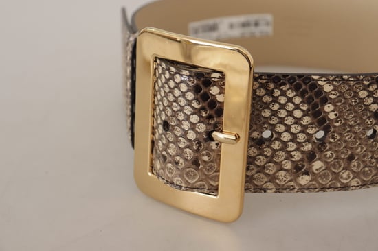 Cinturón de cuero marrón exótico de ancho con hebilla de metal dorado de Dolce & Gabbana - Image 4
