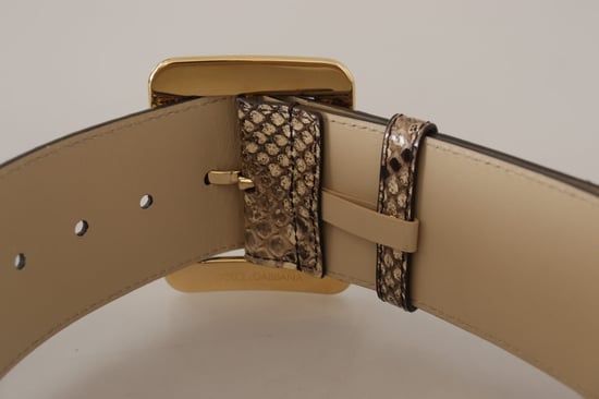 Cinturón de cuero marrón exótico de ancho con hebilla de metal dorado de Dolce & Gabbana - Image 5