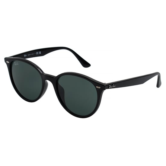 Gafas de sol para hombre Panthos RB4305F - Image 5