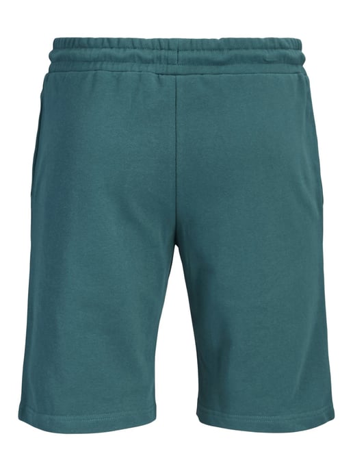   - Image 2