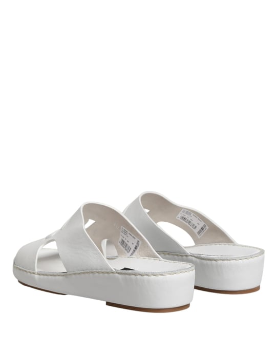Zapatillas Planas Dolce & Gabbana White DG con Corte - Image 6