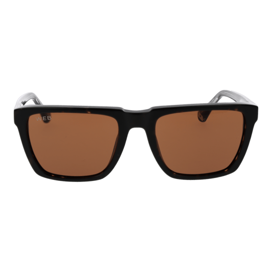 Web Sunglasses WE0379 56E 55 - Image 2