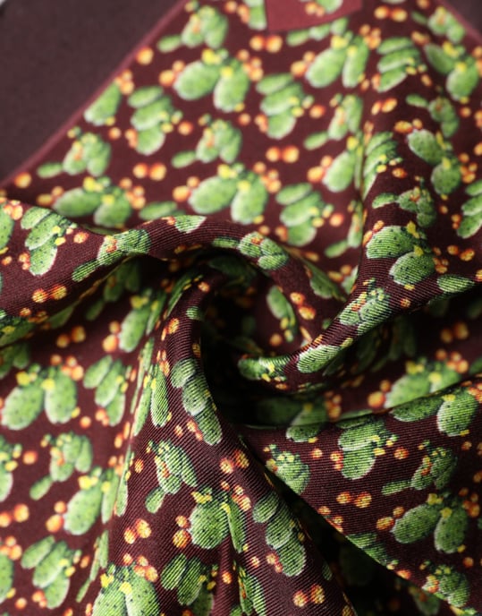 Pañuelo cuadrado de seda con estampado de cactus marrón de Dolce & Gabbana - Image 4