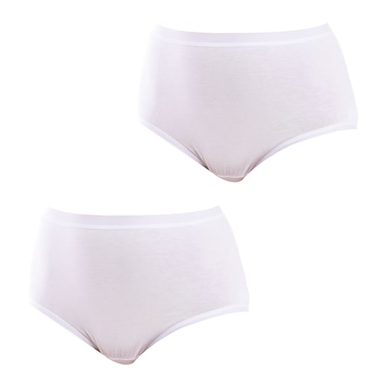 Paquete de 2 Bragas de Bambú para Mujeres Tallas Grandes Q908R - Image 1