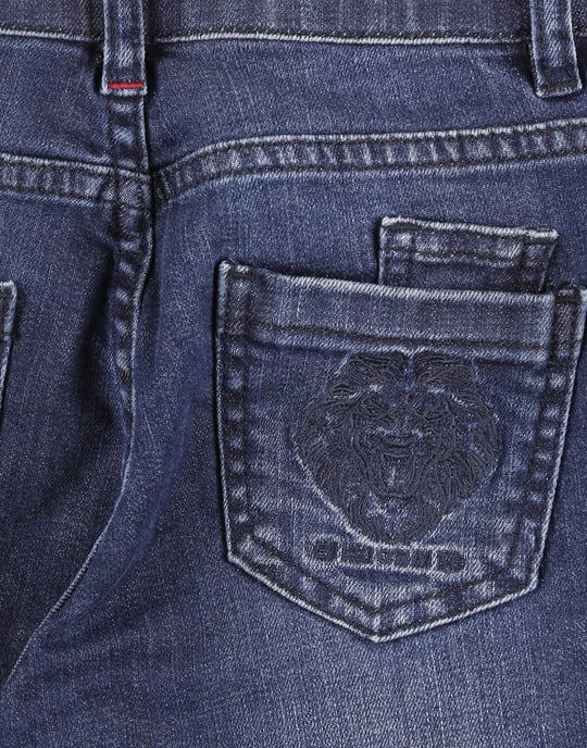 Vaqueros Lion - Image 3