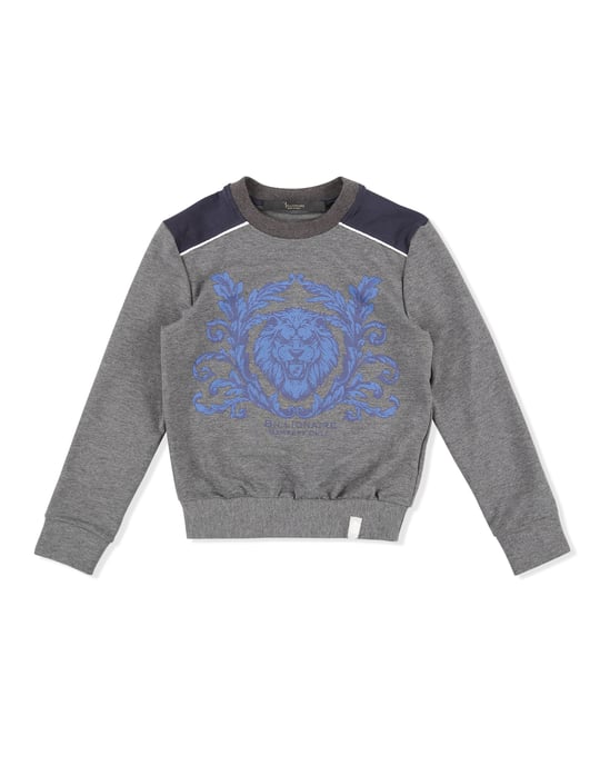 Sudadera Lion - Image 1