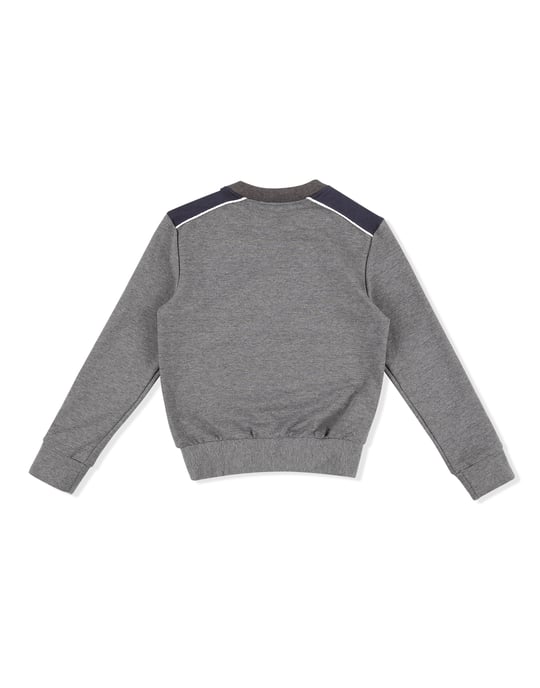 Sudadera Lion - Image 2