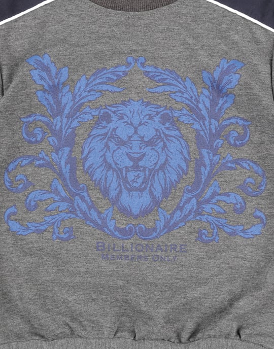 Sudadera Lion - Image 3