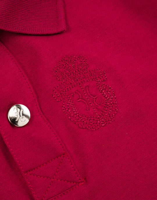 Polo - Image 3