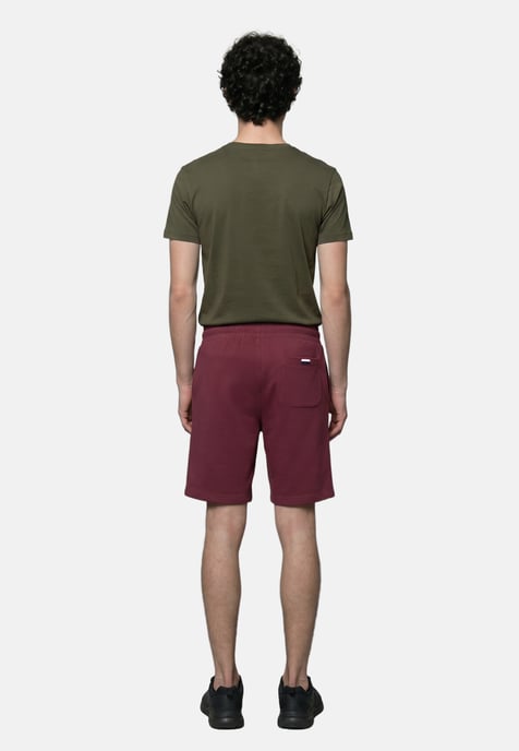 U.S. Polo Assn Shorts Adult - Image 3
