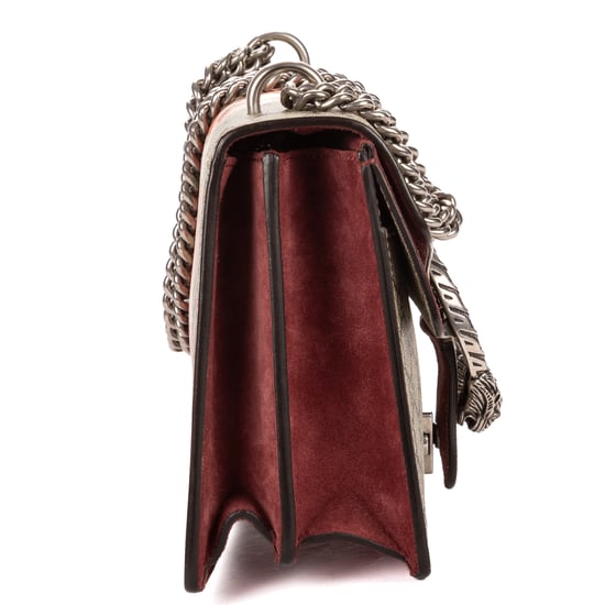 Gucci Small Dionysus Chain Crossbody Small en beige Lienzo recubierto - Image 4