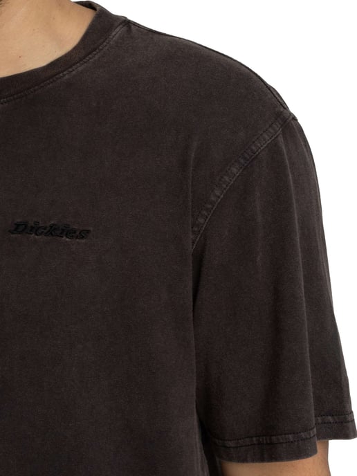 Dickies Camiseta De Plentywood, Marrón - Image 4