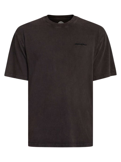 Dickies Camiseta De Plentywood, Marrón - Image 5