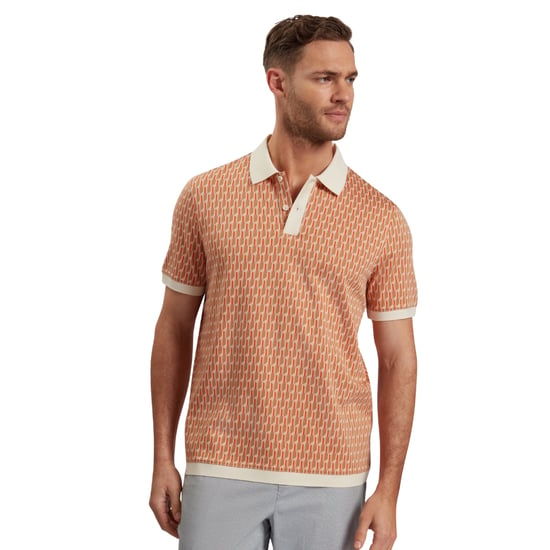 Polo Ted Baker Hamishs Jacquard Stripe Geo Camel - Image 2