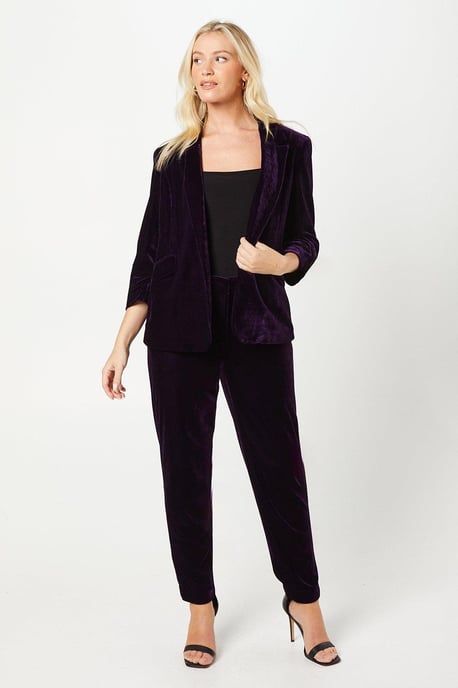 Velvet Blazer - Image 4